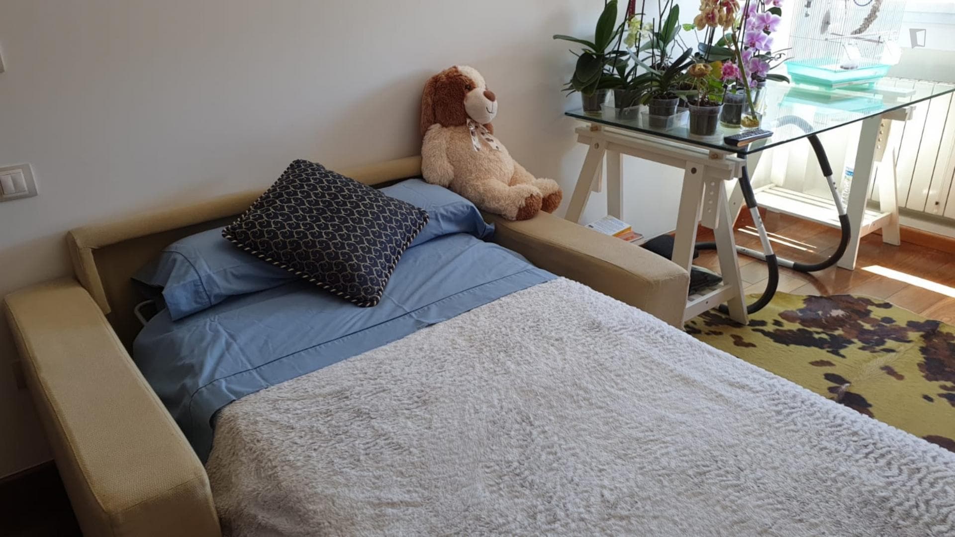 Nice single bedroom near Playa de San Juan photo 1