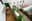 preload