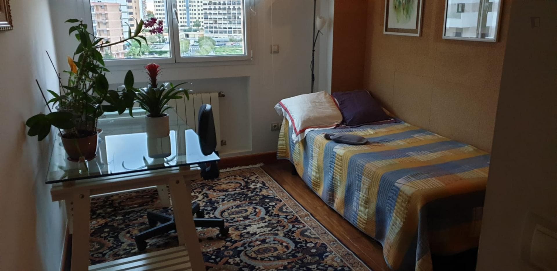 Cool single bedroom near Playa Albufereta photo 1