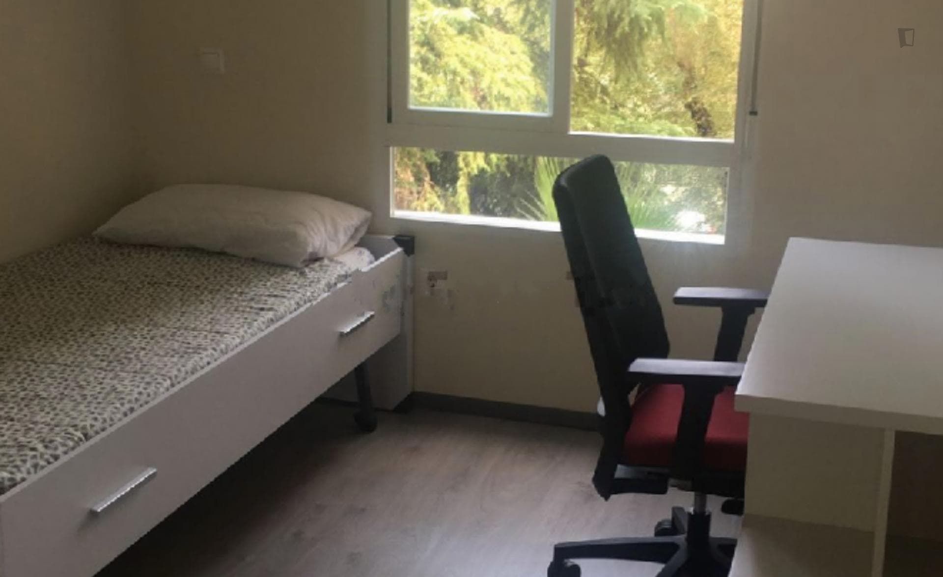 Nice single bedroom near Plaza Escultor photo 1