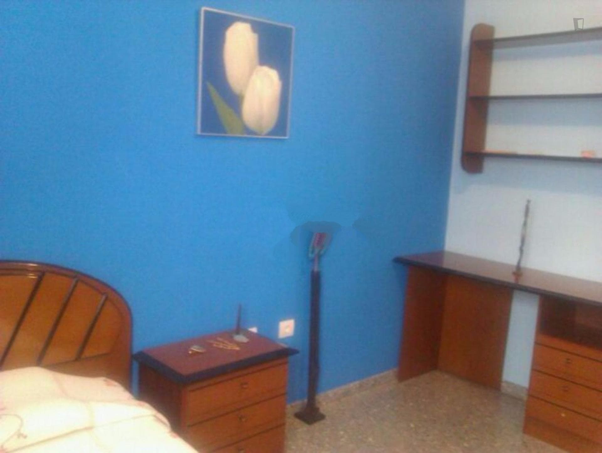 Comfortable Single Bedroom in Nueva Granada photo 1