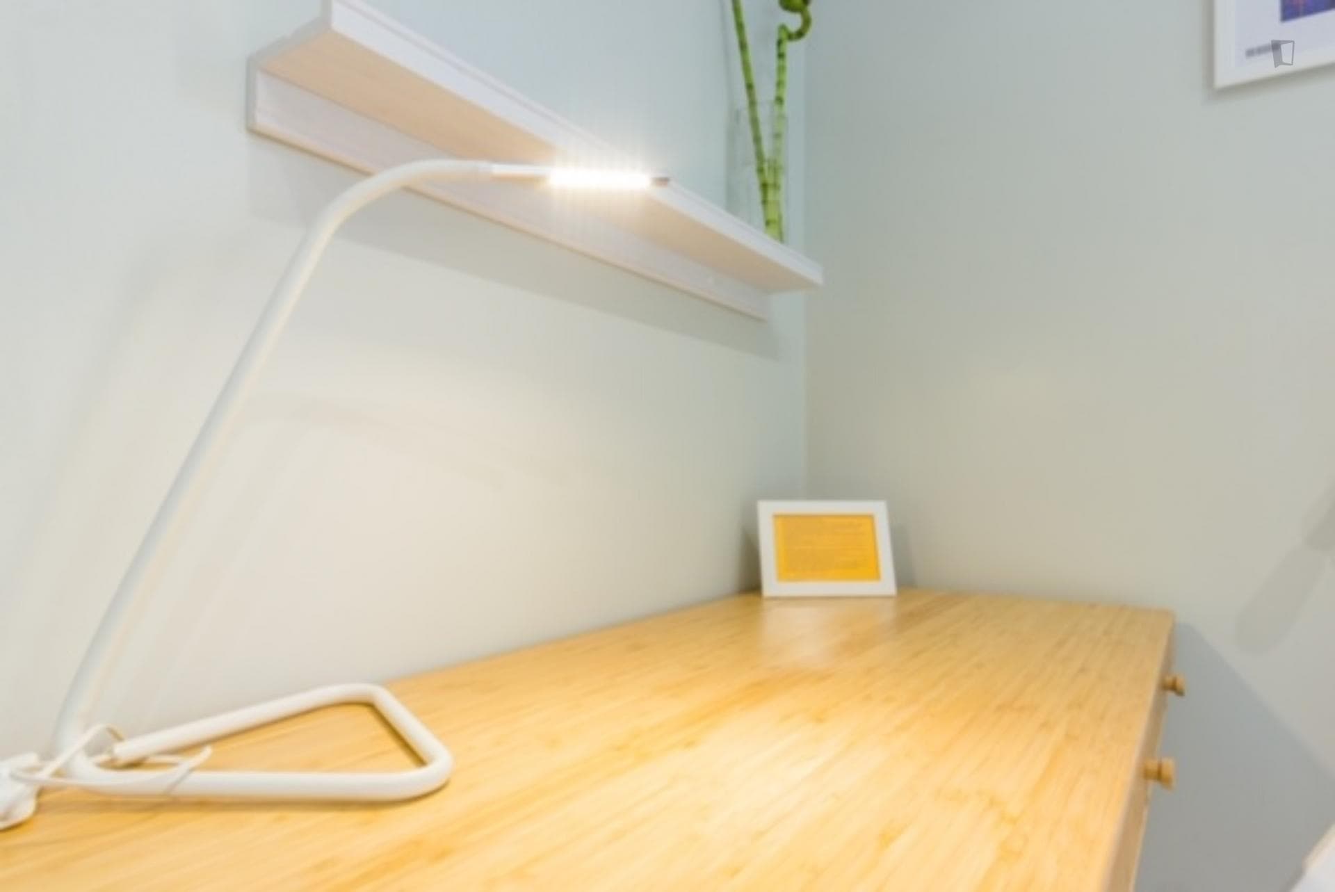 Lovely single bedroom in a 5-bedroom apartment near Euskadi Plaza photo 1