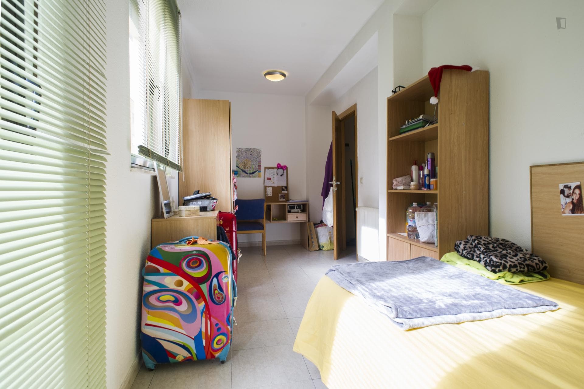 Single bedroom in a 5-bedroom apartment near Instituto De Enseñanzas Aplicadas photo 1