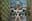 preload