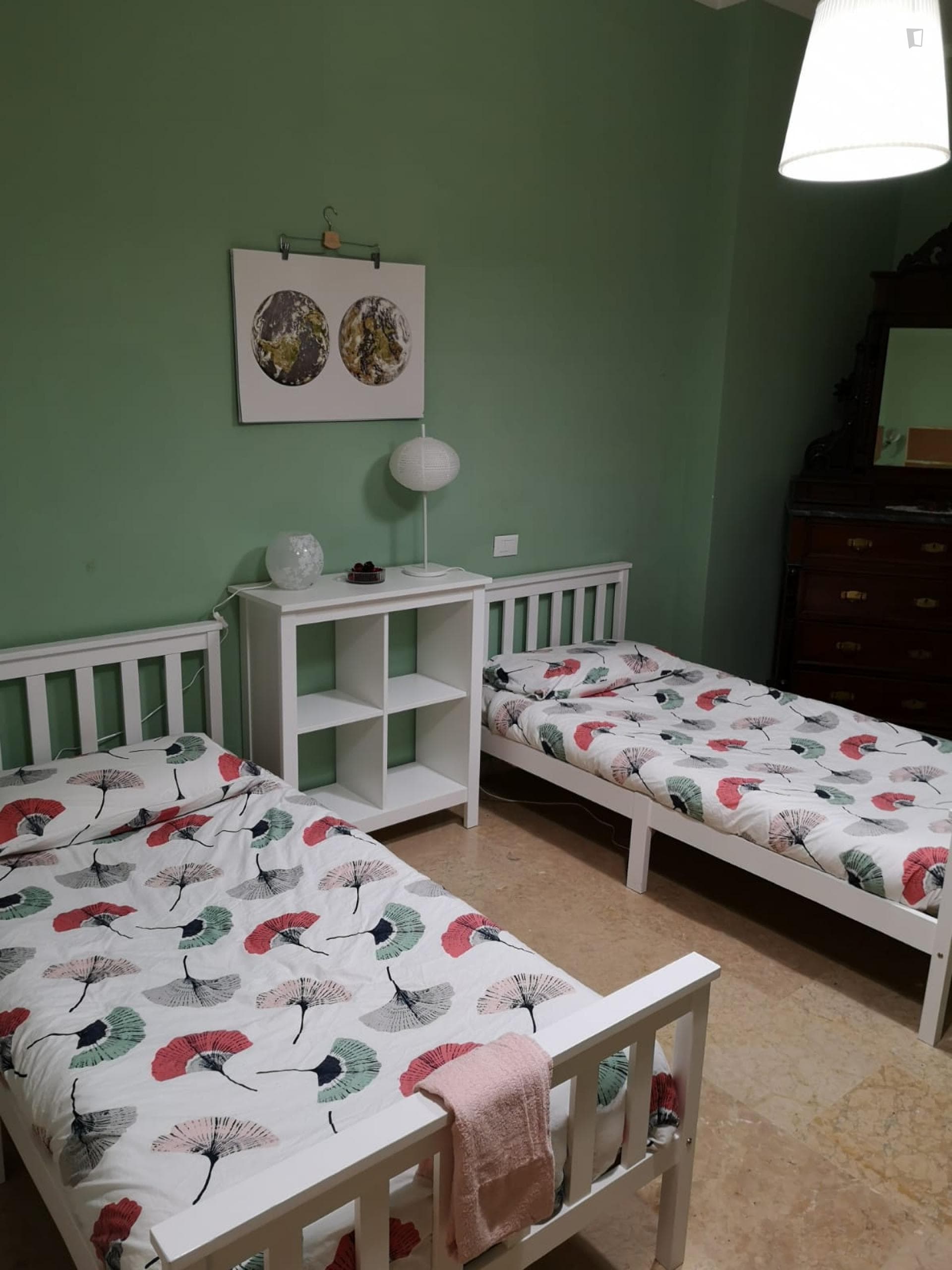 Single Bed in Charming Twin Bedroom in Novoli photo 1