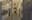 preload