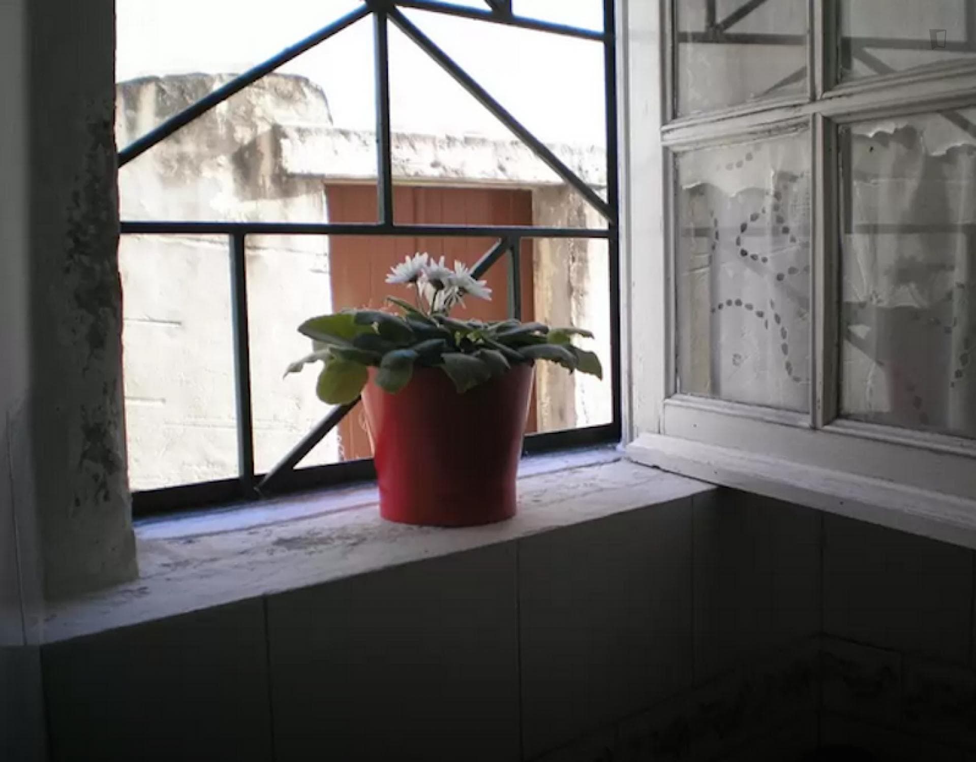 Lovely 1-bedroom flat in beautiful Alfama photo 1
