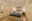 preload