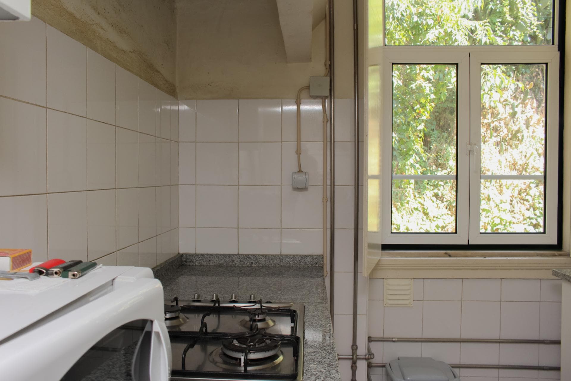 Único quarto para as fêmeas, em proximidade com Universidade de Coimbra photo 1