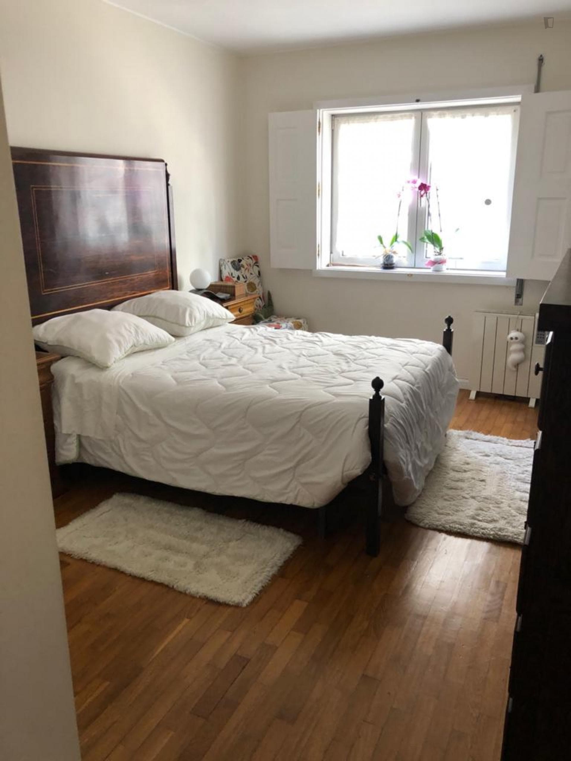 1 Bedroom-Apartment in Porto photo 1