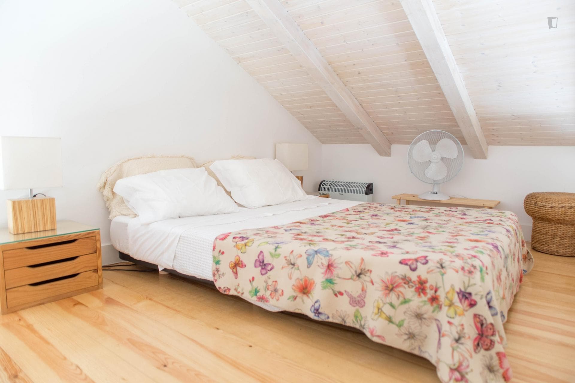 Compact and homely studio in Bonfim photo 1
