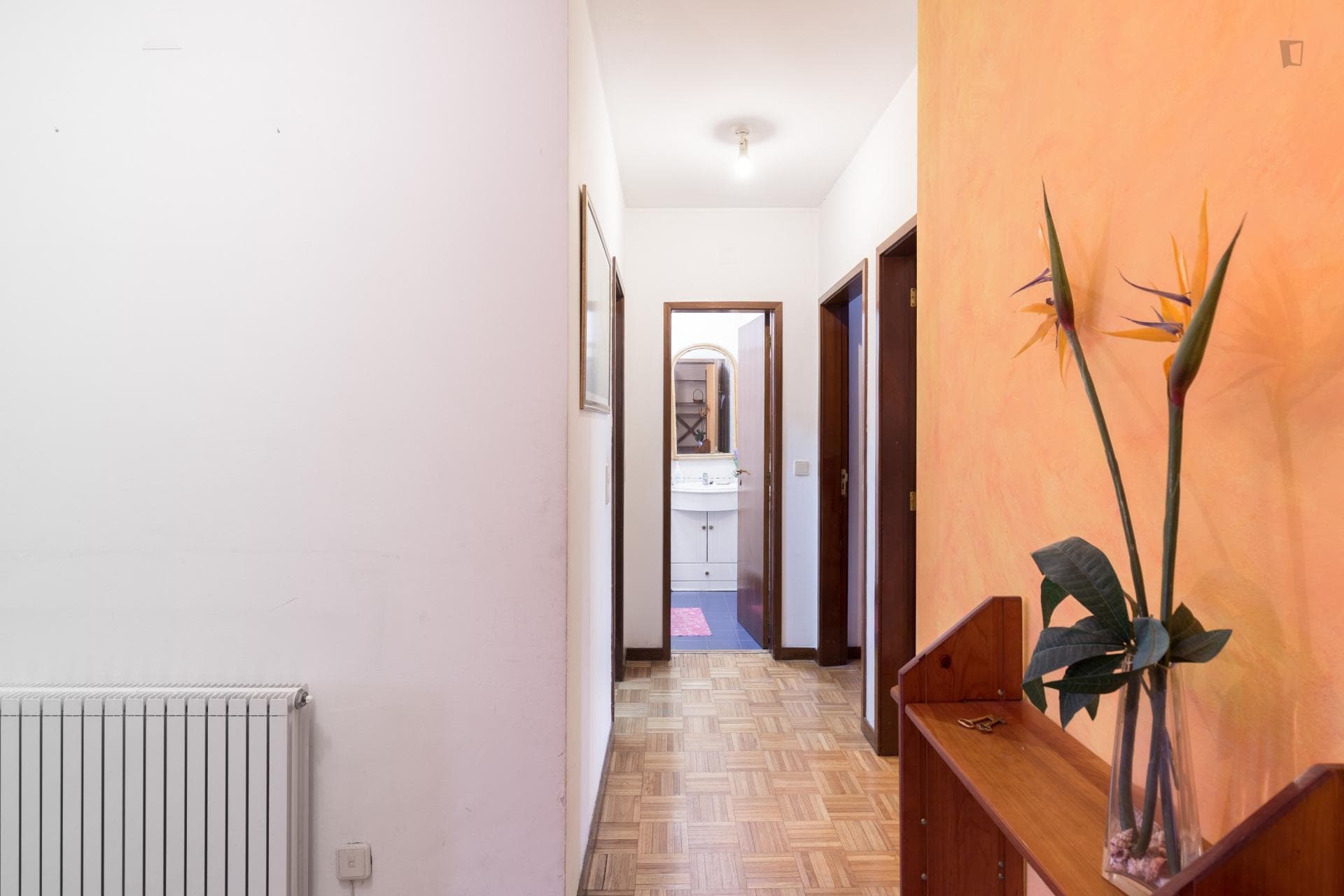 Bright single-bedroom in well located Paranhos photo 1