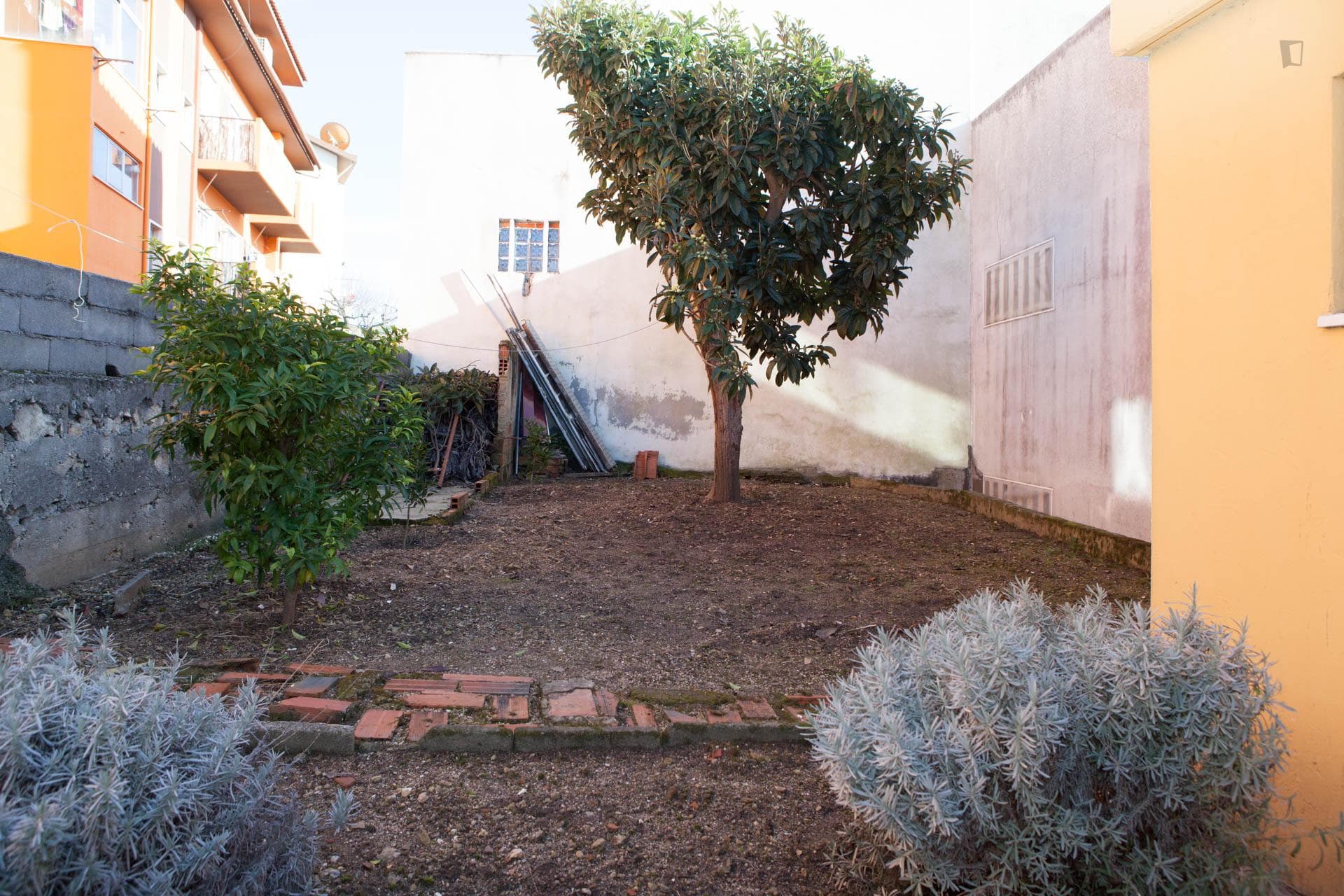 Spacious single bedroom, with balcony, in Coimbra photo 1