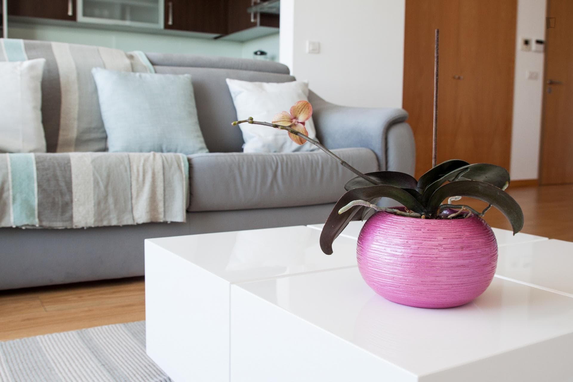 1-bedroom apartment, with outdoor area photo 1