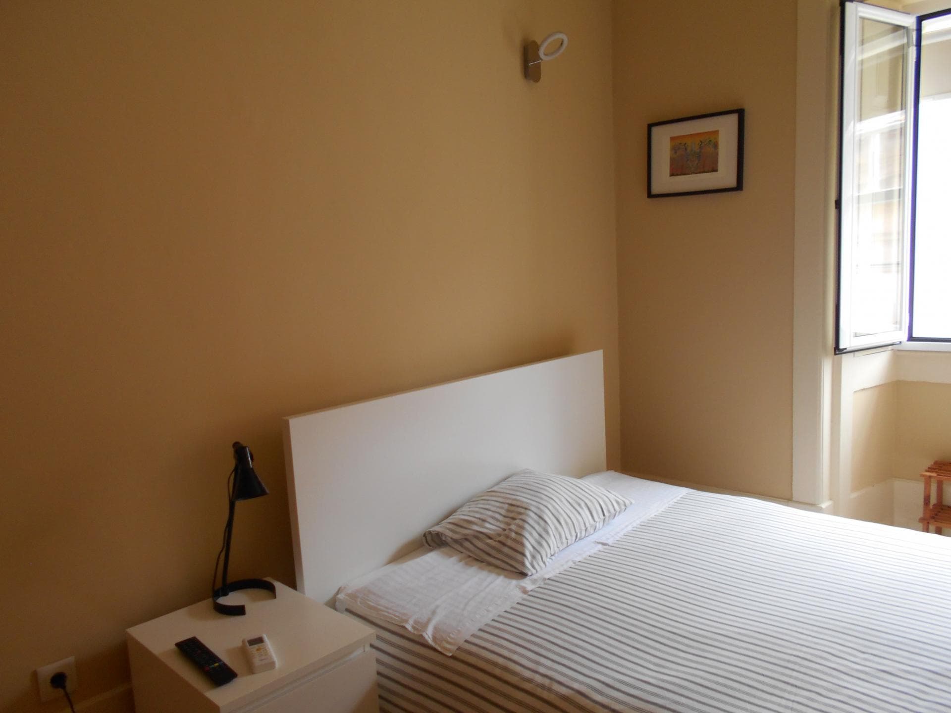 Cosy studio near Universidade de Coimbra photo 1