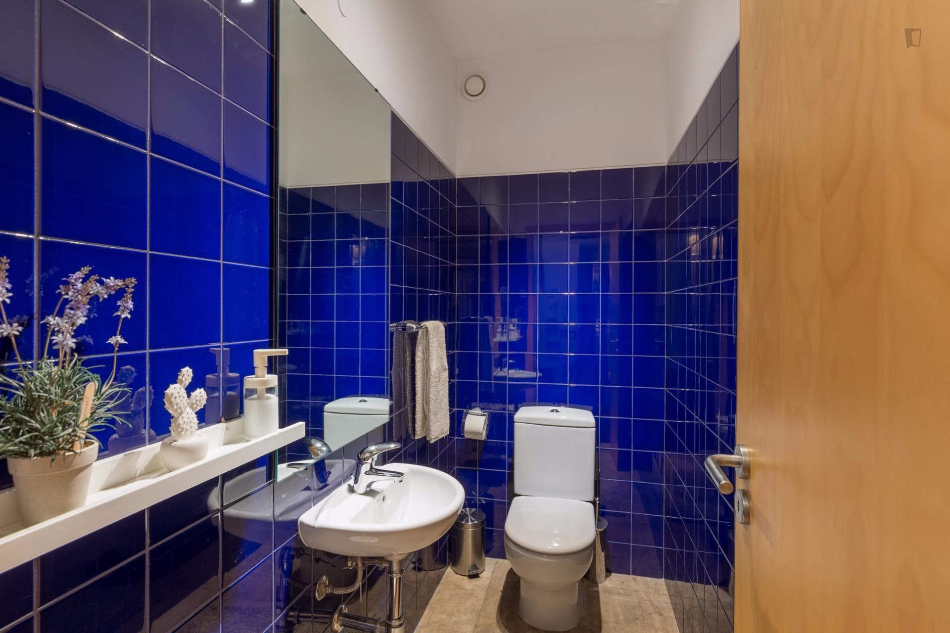 intriguing 1-bedroom apartment next to Sete Bicas metro station photo 1