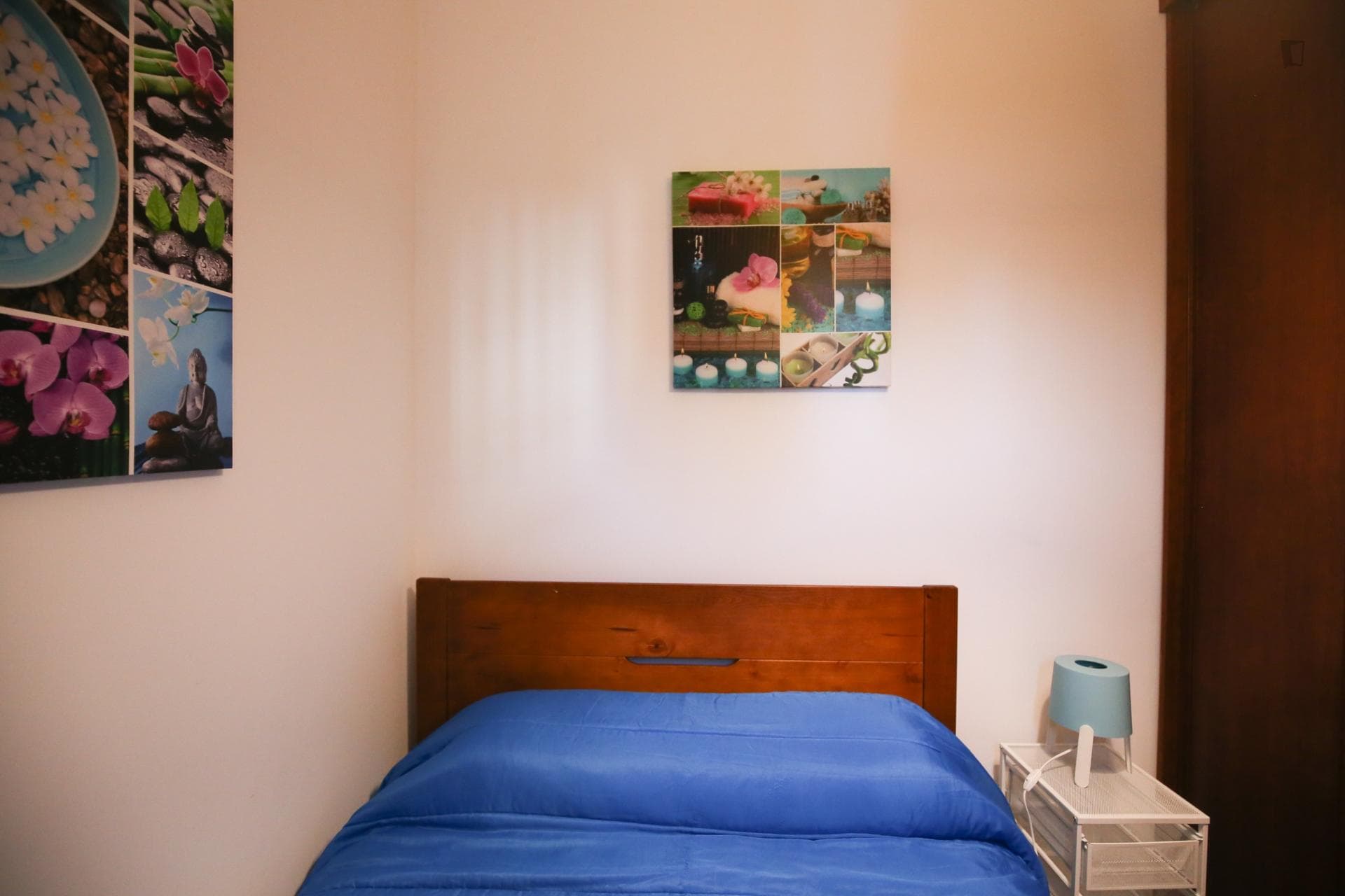 Charming 1-bedroom apartment next to Jardim da Estrela photo 1