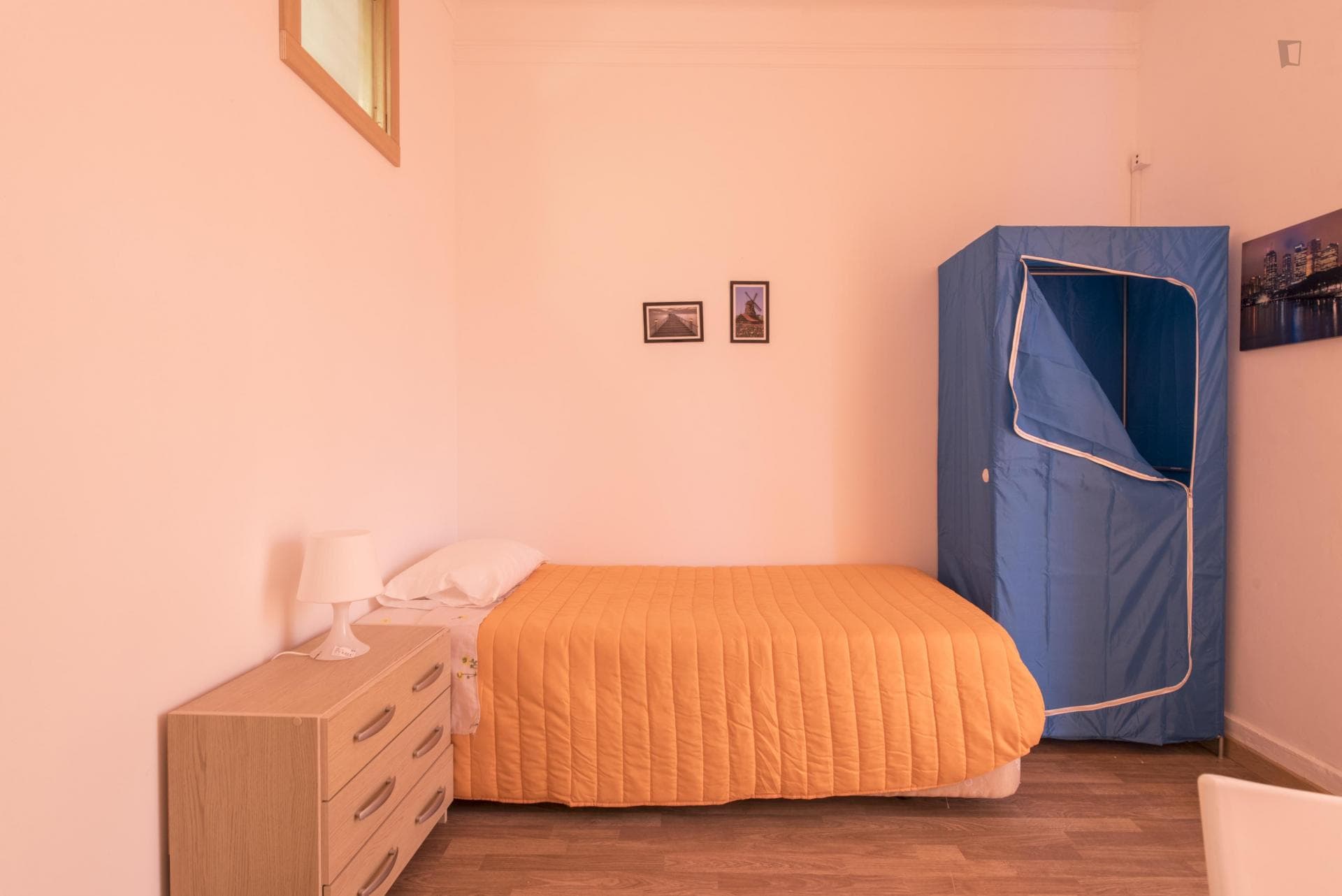Luminous single bedroom near Instituto Superior Técnico photo 1