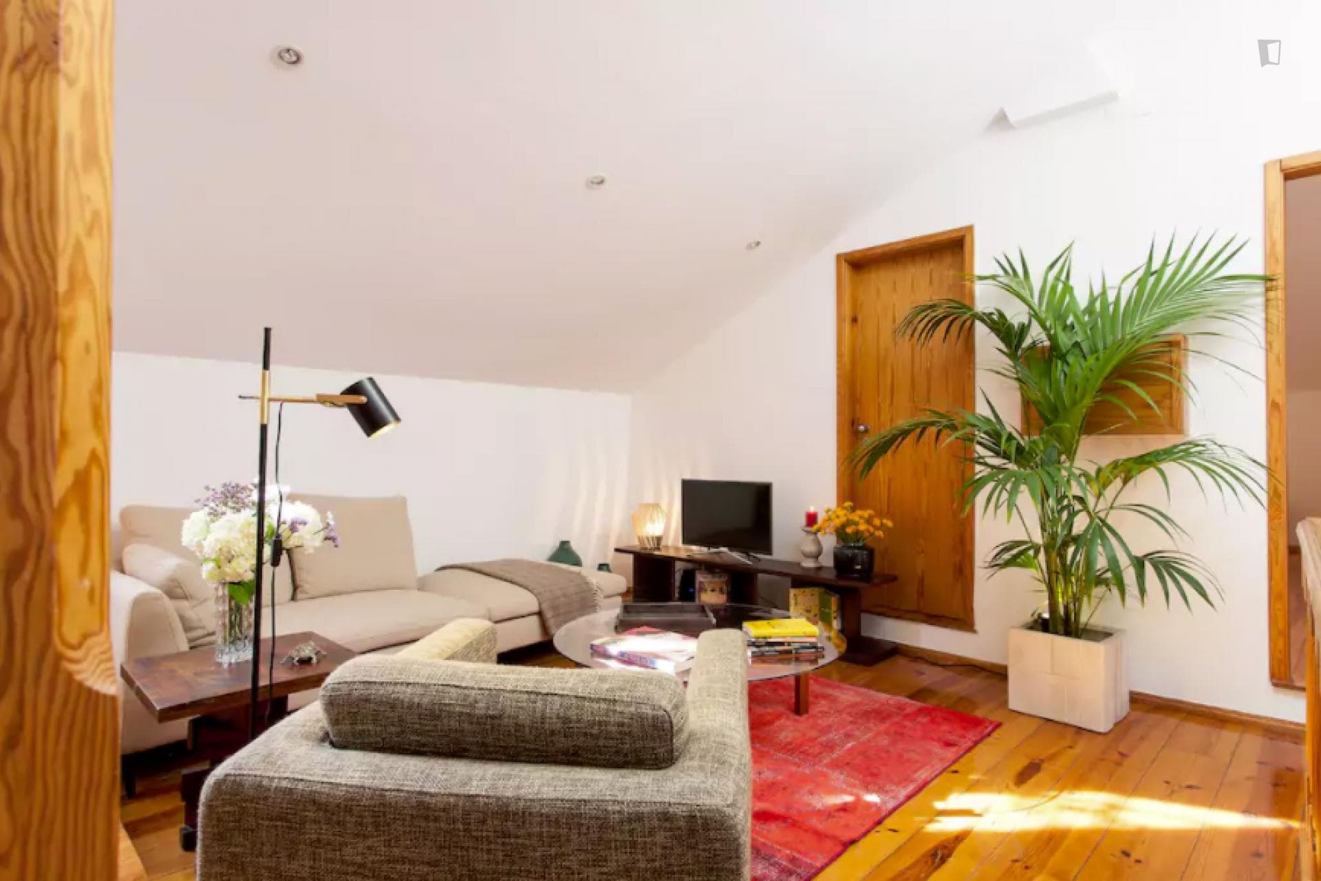 Really cool and sunny 1-bedroom apartment in São Bento photo 1