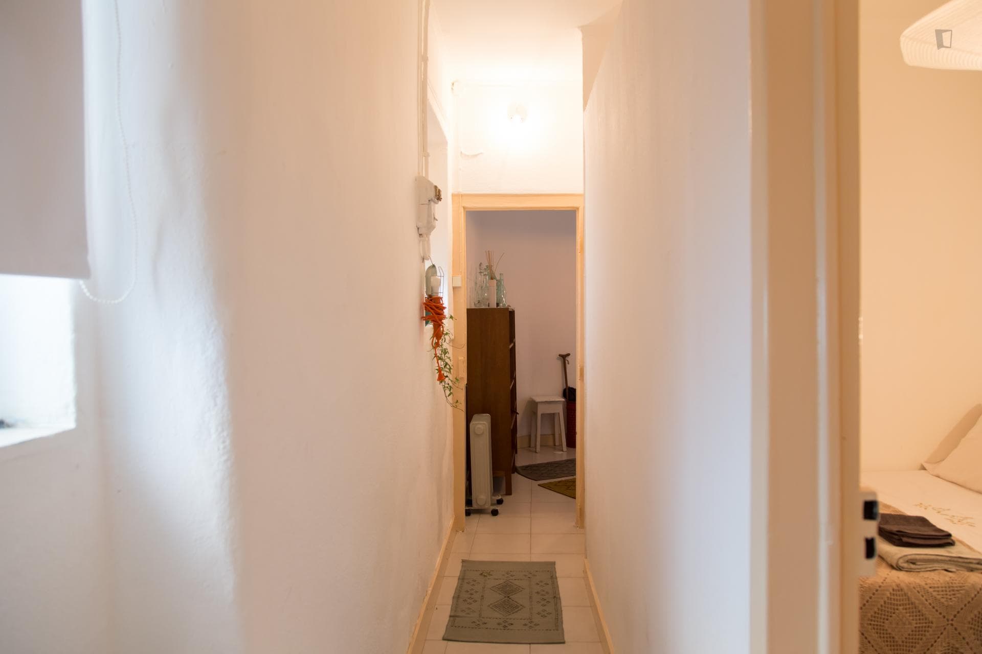 Lovely 1-bedroom flat in Martim Moniz photo 1