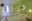 preload