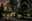 preload