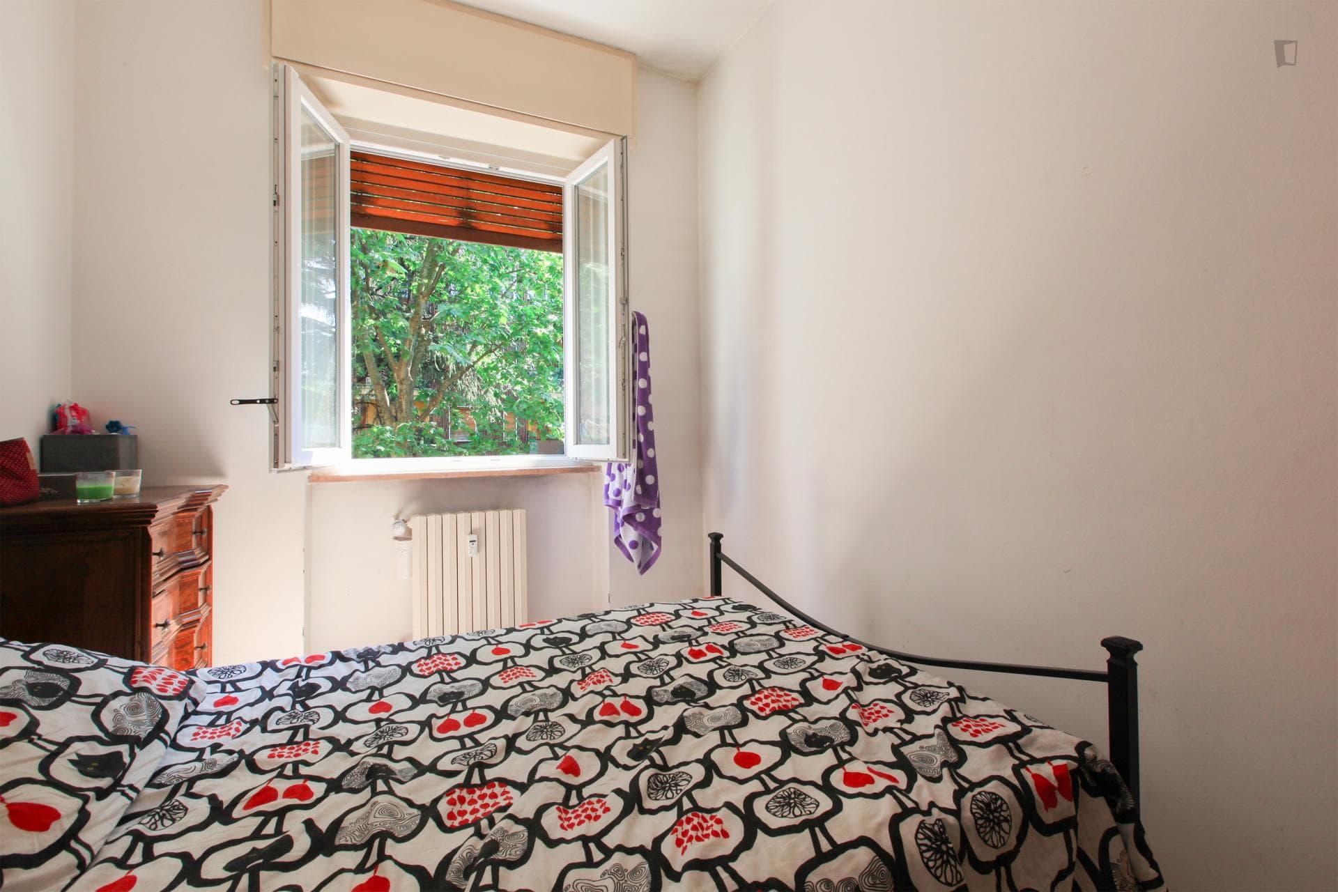 Cosy single bedroom near Turro metro station photo 1