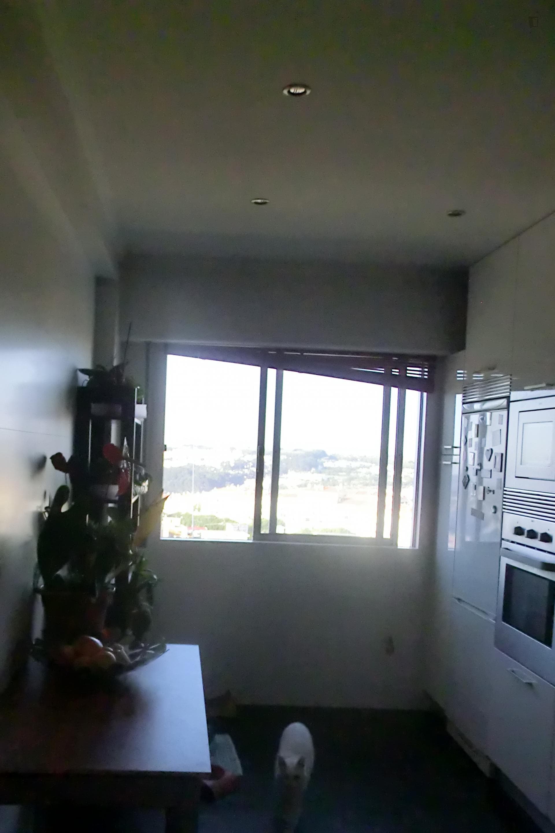 Charismatic single bedroom close to Anjos subway station photo 1