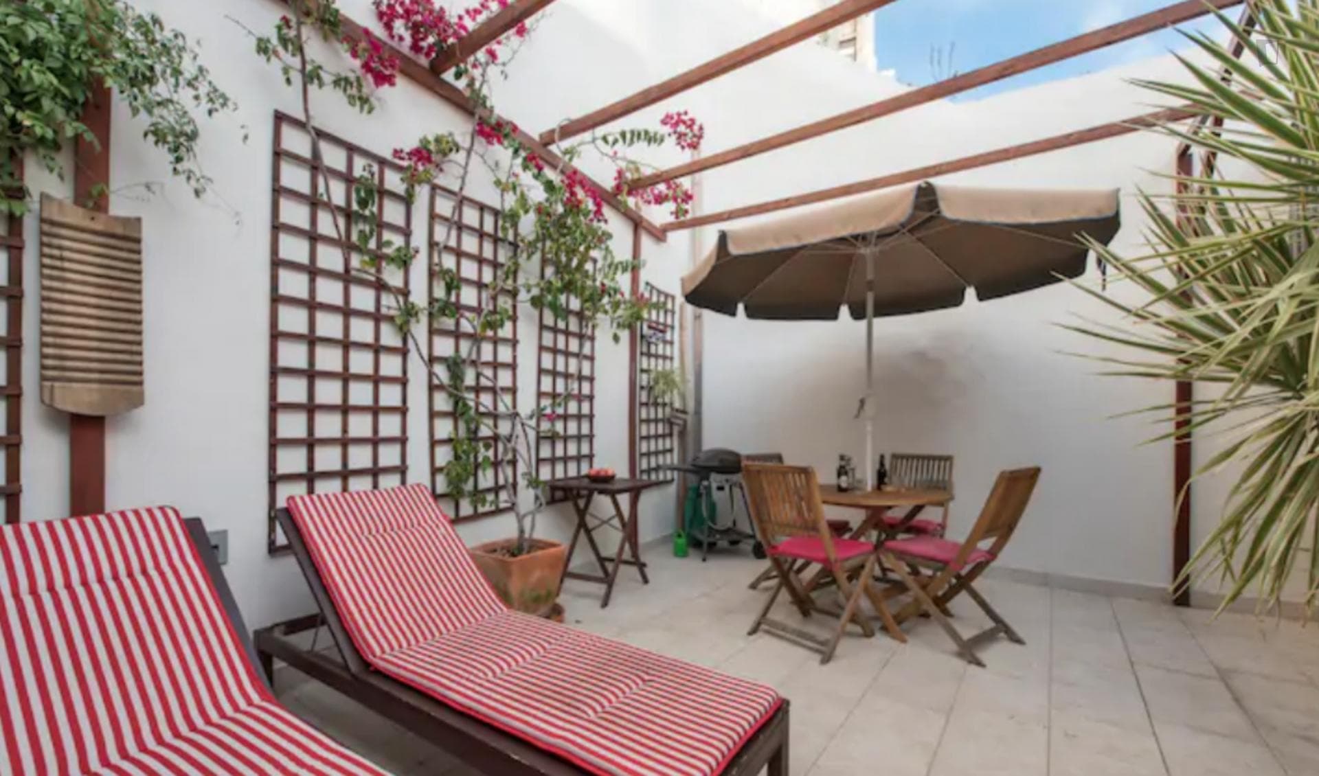 The Lisbon Oasis photo 1