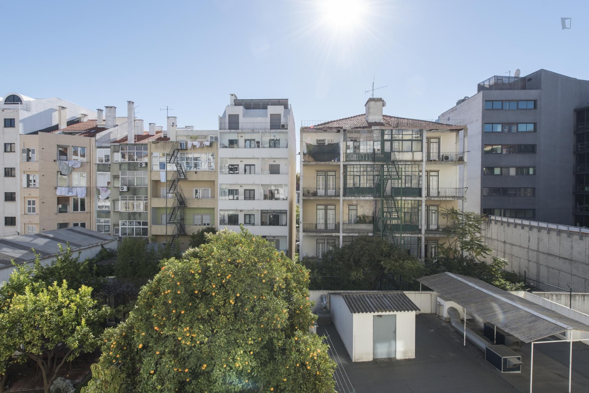 Property photo thumbnail
