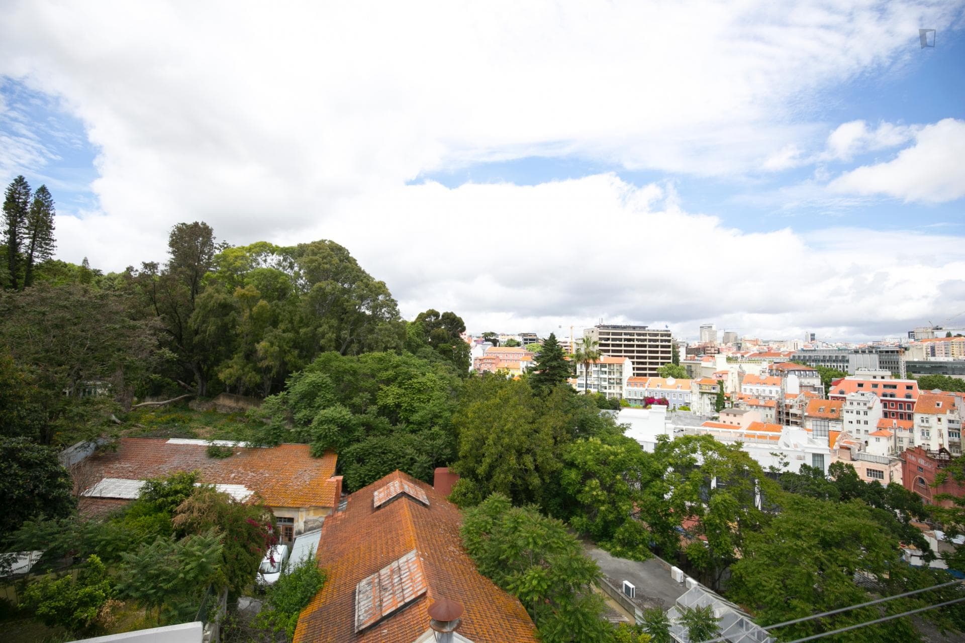 Great-looking apartment in Príncipe Real photo 1