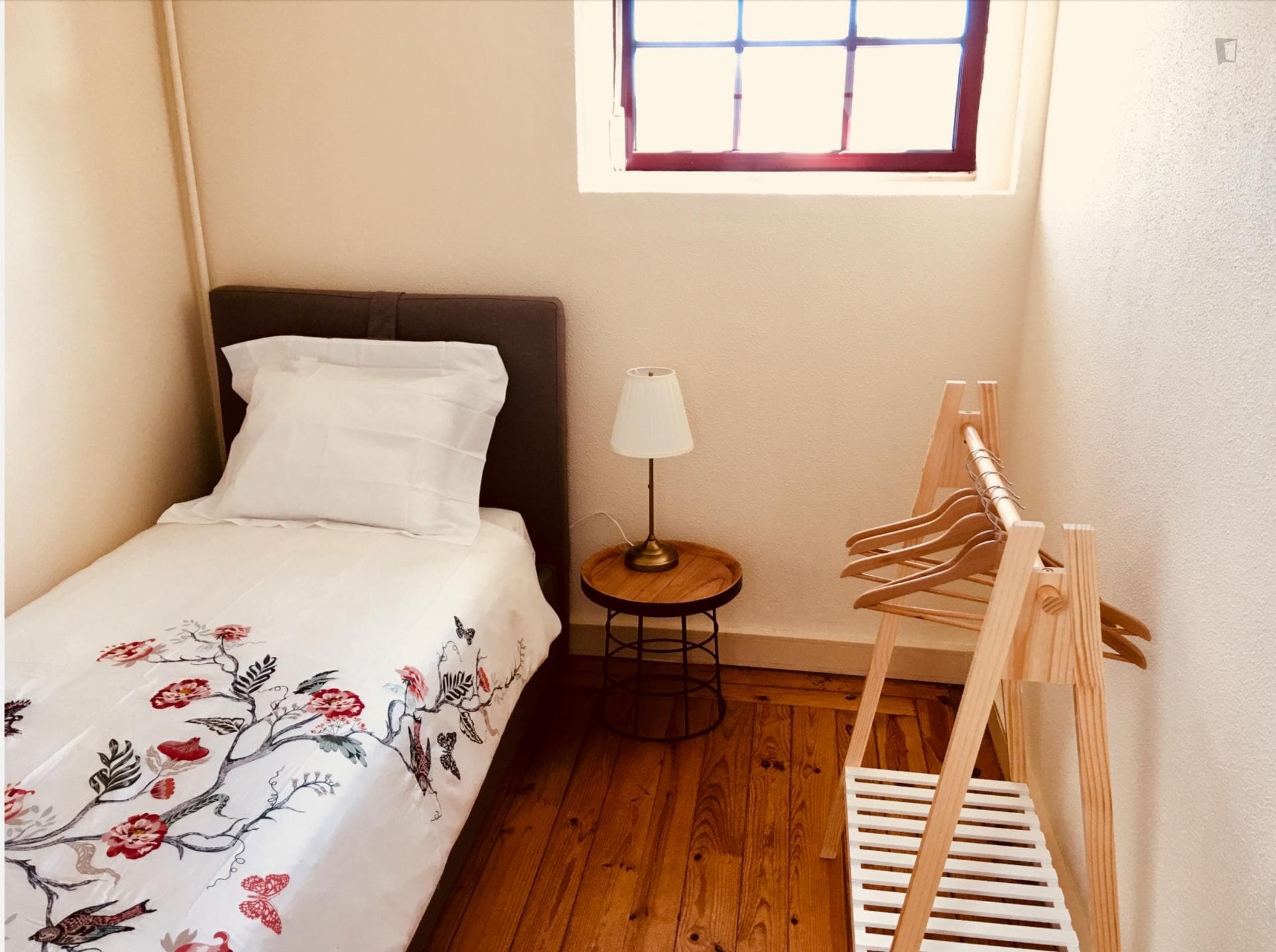 Single room in a flat with terrace in city centre photo 1