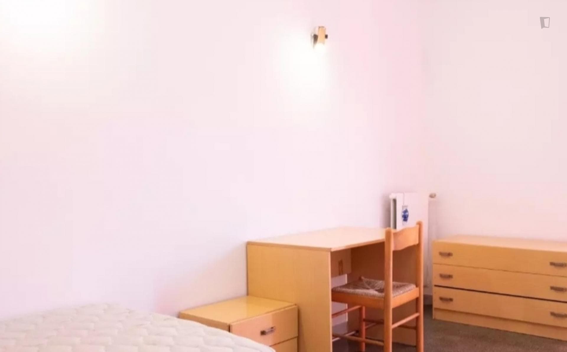 Nice single bedroom close to Sapienza Università  photo 1