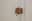 preload