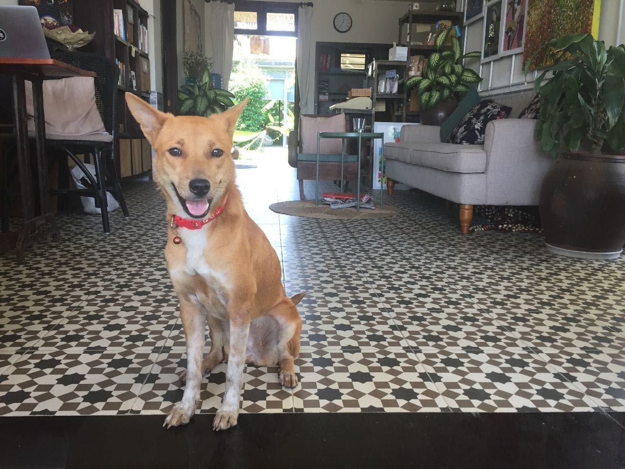 Property photo thumbnail