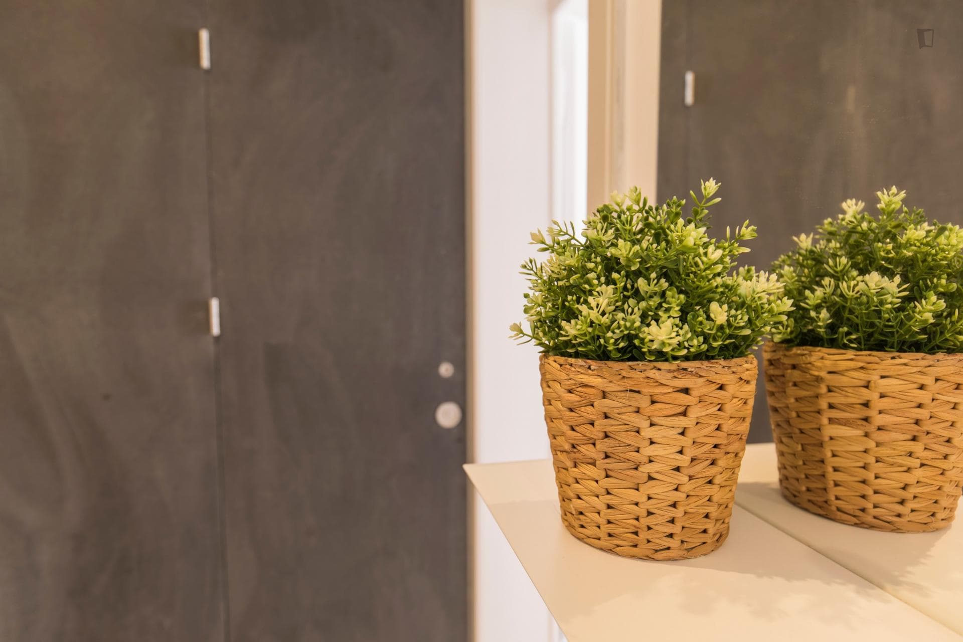 Charming 2-bedroom apartment in Santos photo 1