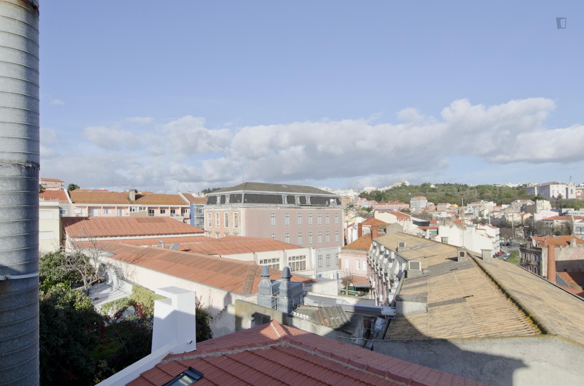 Comfy single bedroom close to Instituto Superior de Agronomia photo 1