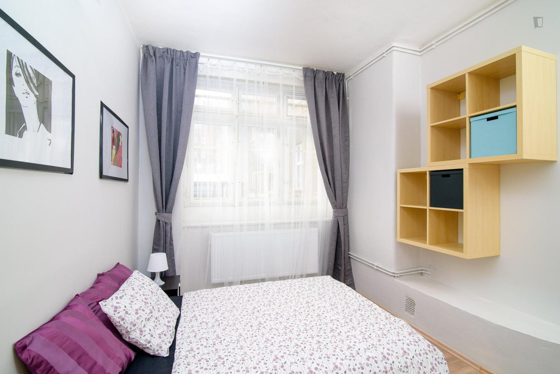 Dashing double bedroom in a student flat, near the Vítkov park photo 1