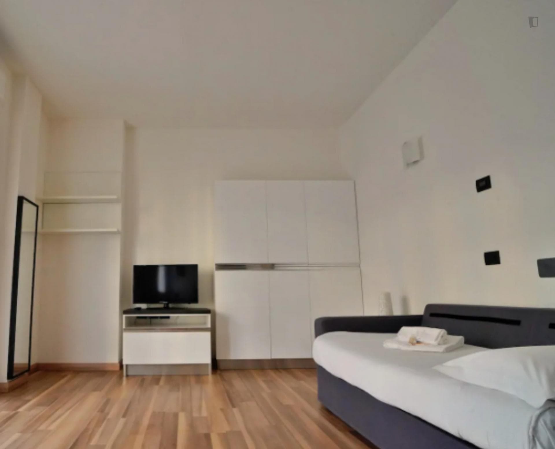 Spacious Studio with terrace near Politecnico di Milano photo 1