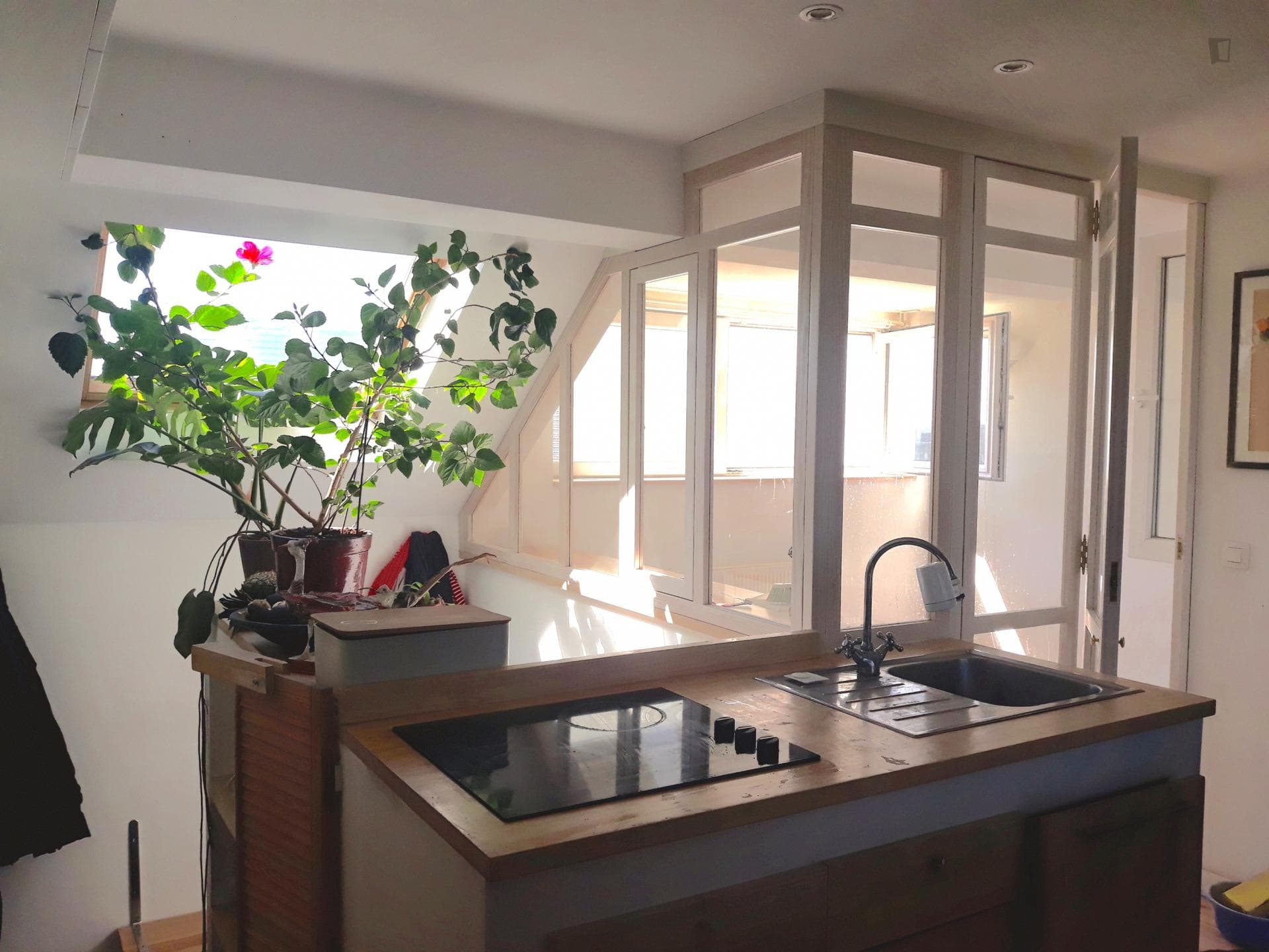 Nice 2-Bedroom duplex in the center of brussels photo 1
