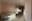 preload