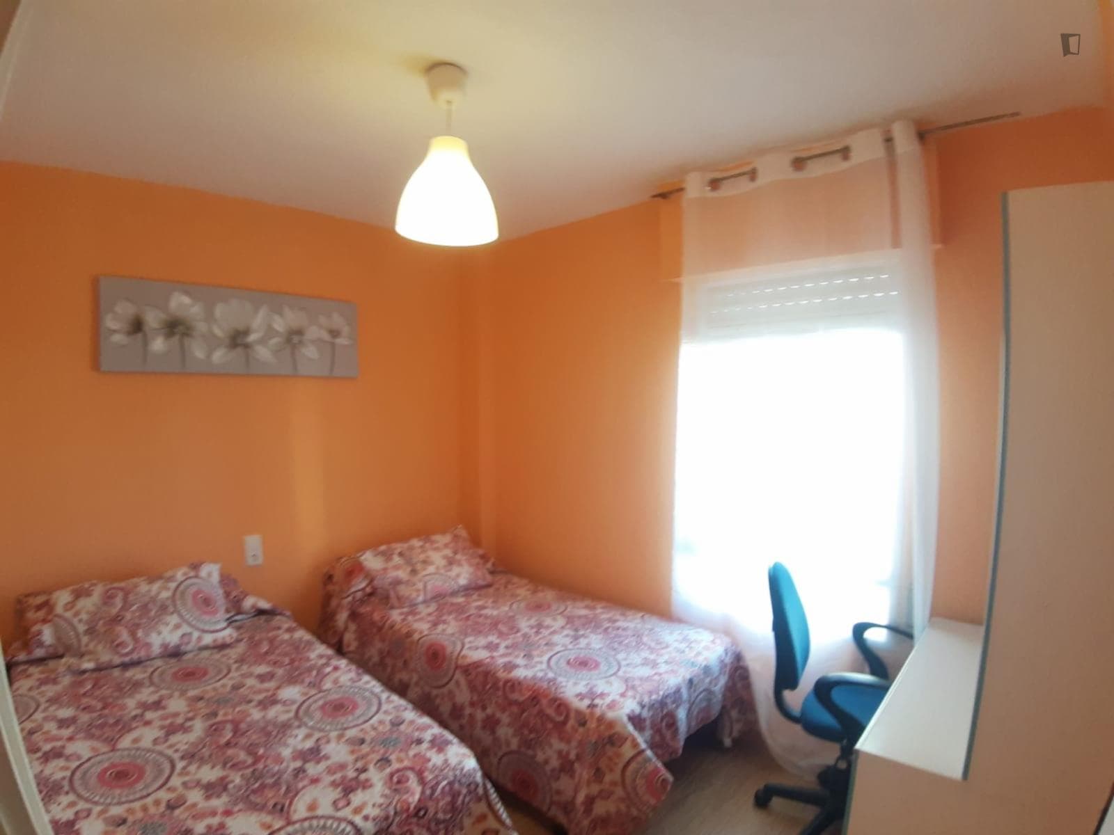 Lovely twin bedroom in a 3-bedroom apartment near Plaza de Toros de Murcia photo 1