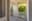 preload
