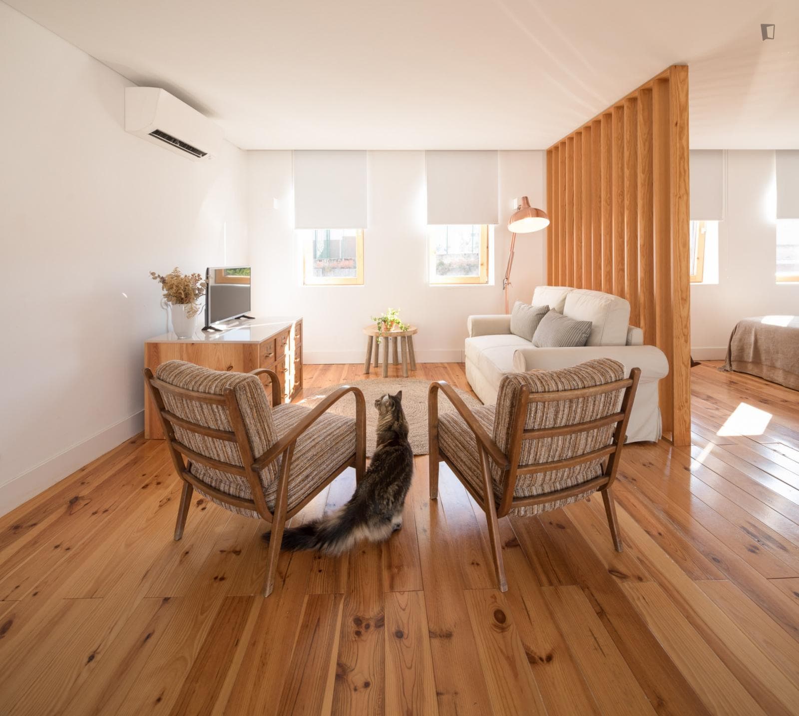 Amazing Studio with Outdoor Area photo 1
