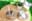 preload