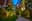 preload