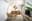 preload