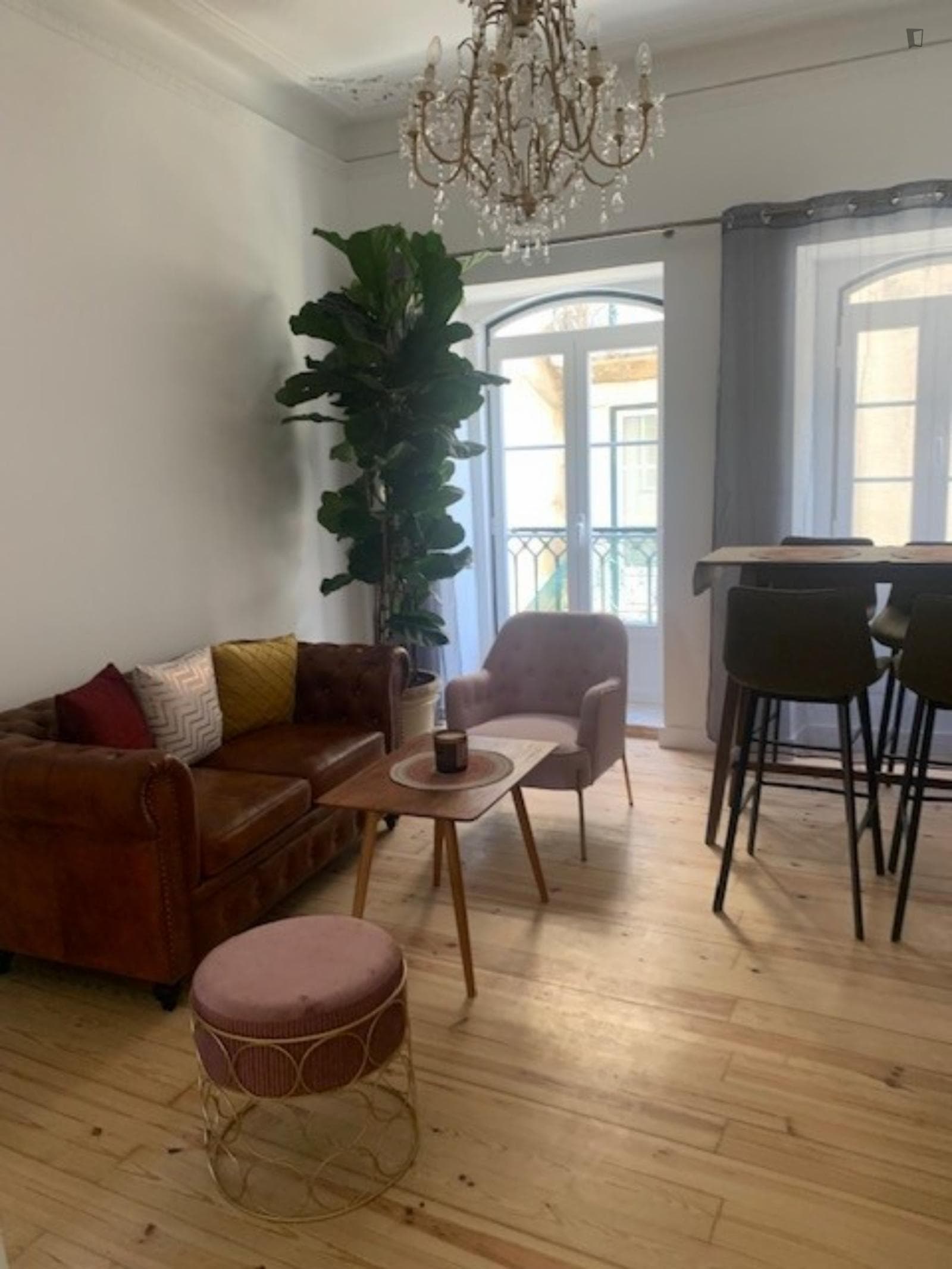 Stylish 1-bedroom apartment in classic São Bento photo 1