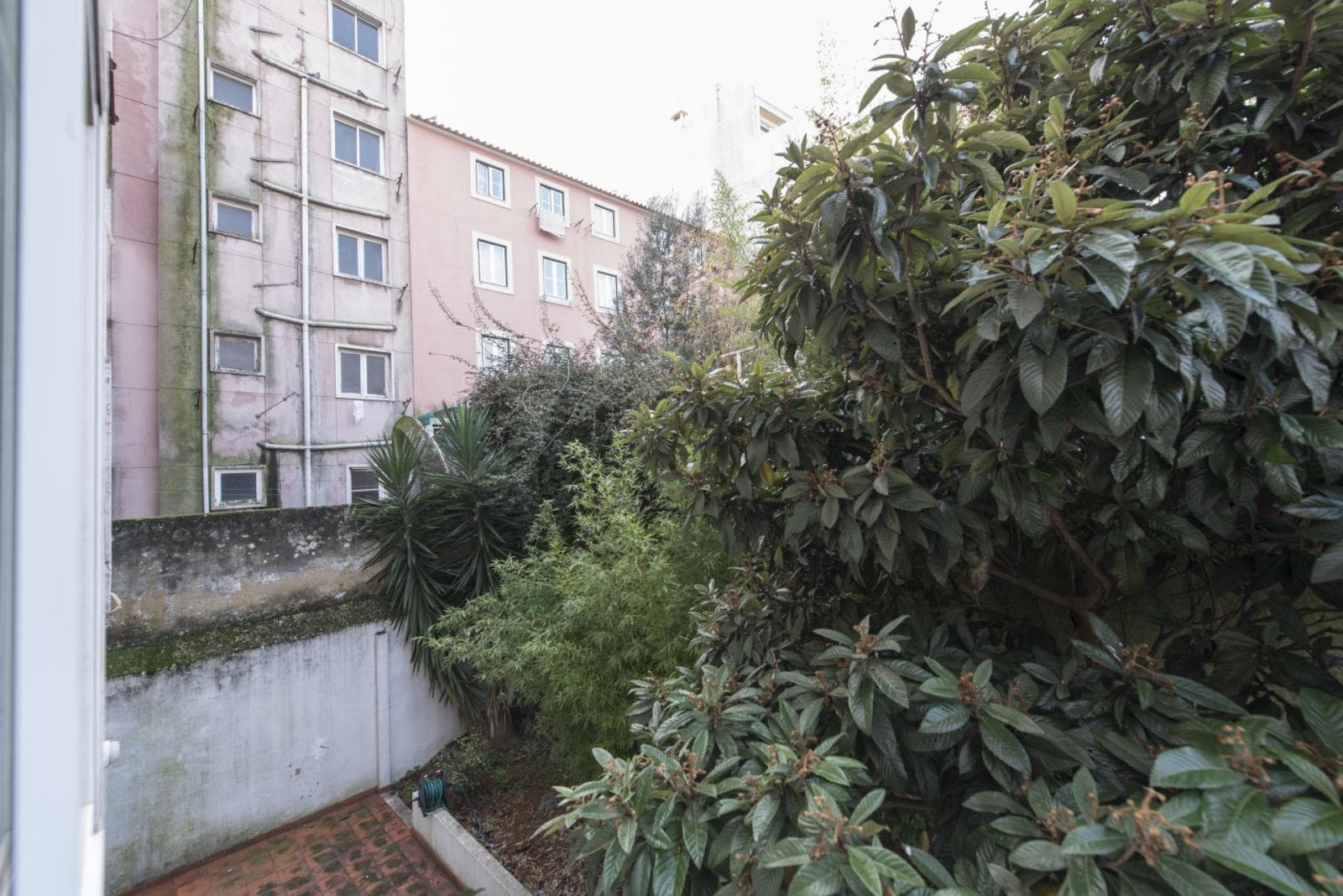 Neat 1-bedroom apartment Campo de Ourique photo 1