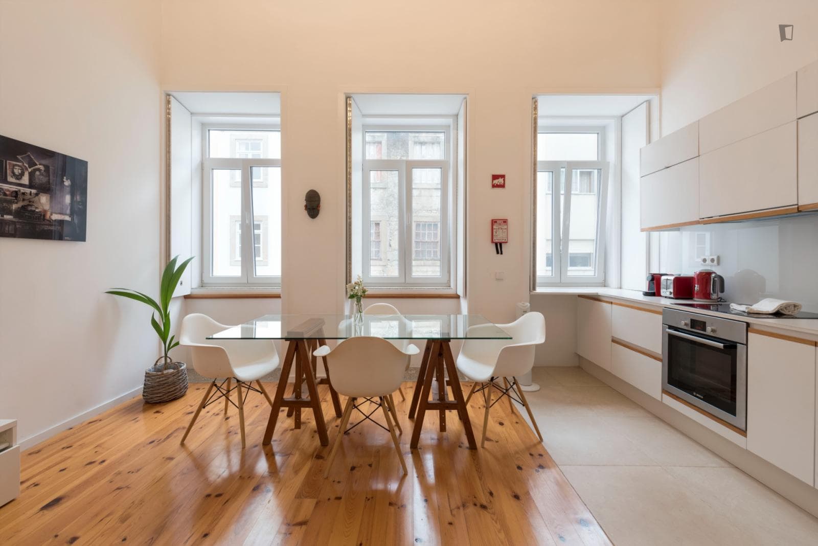 Splendid 1-bedroom flat in Massarelos photo 1